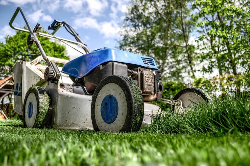 Plant Maintenance